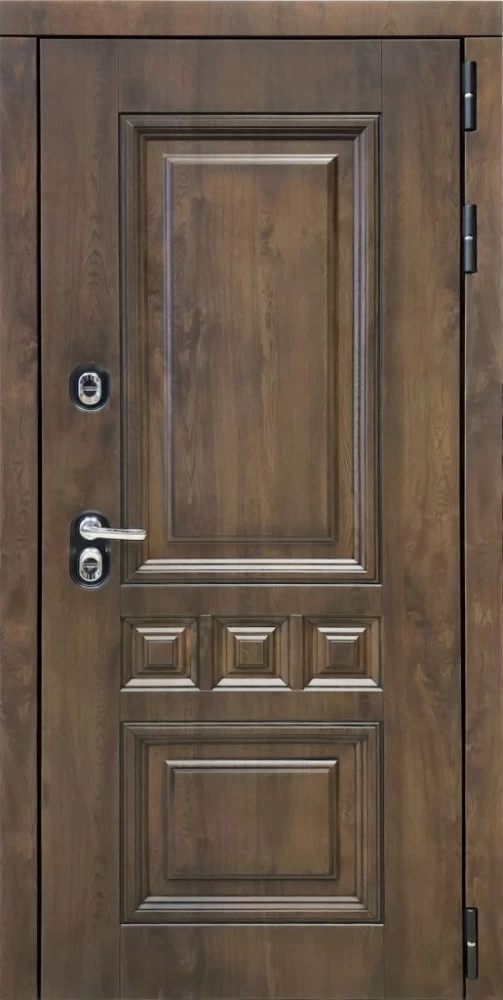 Входная дверь ДвериПРО Аура Лаура (16мм, анегри 74) DPRO196991 внешняя сторона